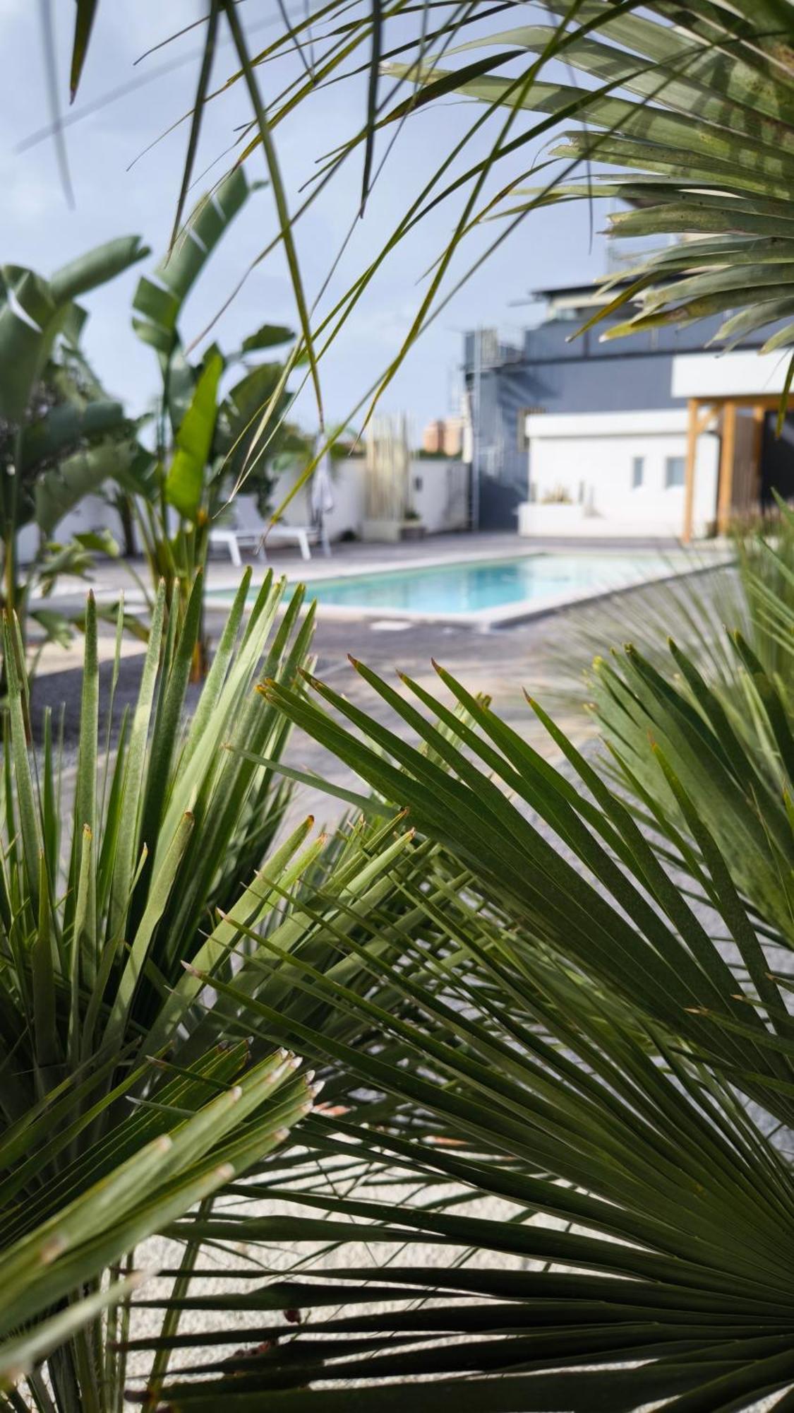 CASADELMAR vacanze San Leone Exterior foto